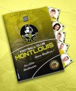 FC MONTLOUIS