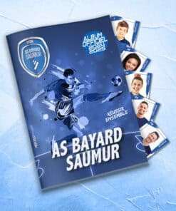 AS BAYARD SAUMUR