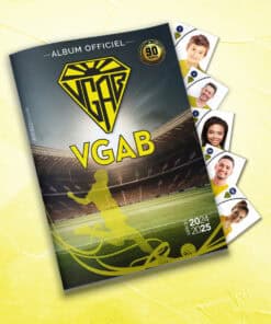 VGA BOHARS