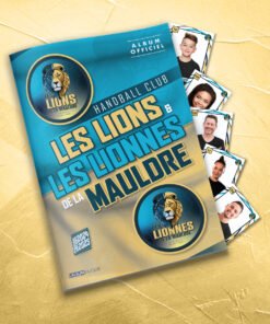 HBC LES LIONS DE LA MAULDRE