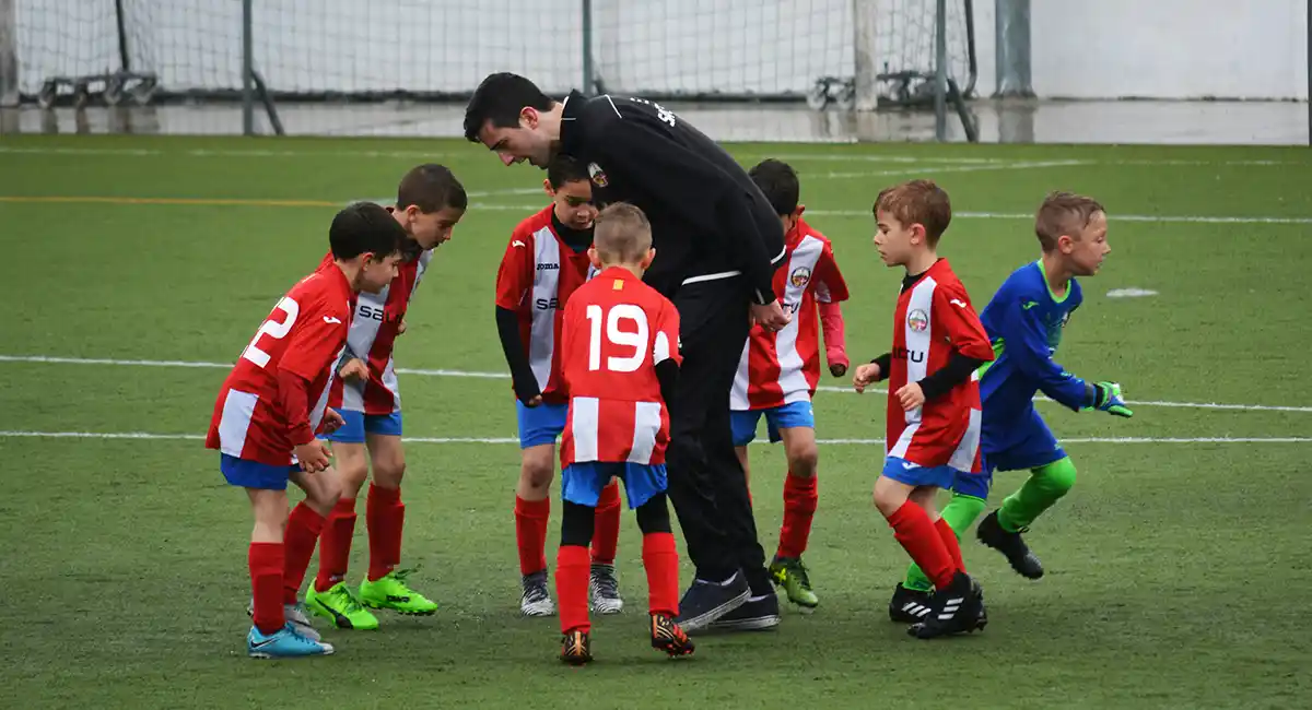 projet formation BMF