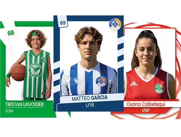 Vignettes collector Album Du Club